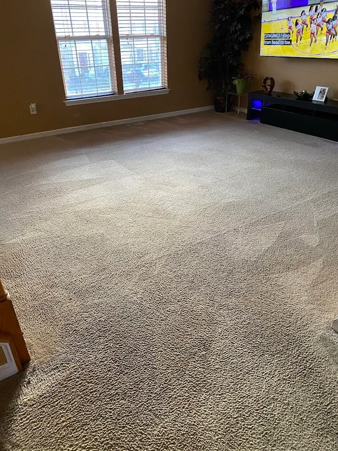 Dunamis Carpet Cleaning photo 2