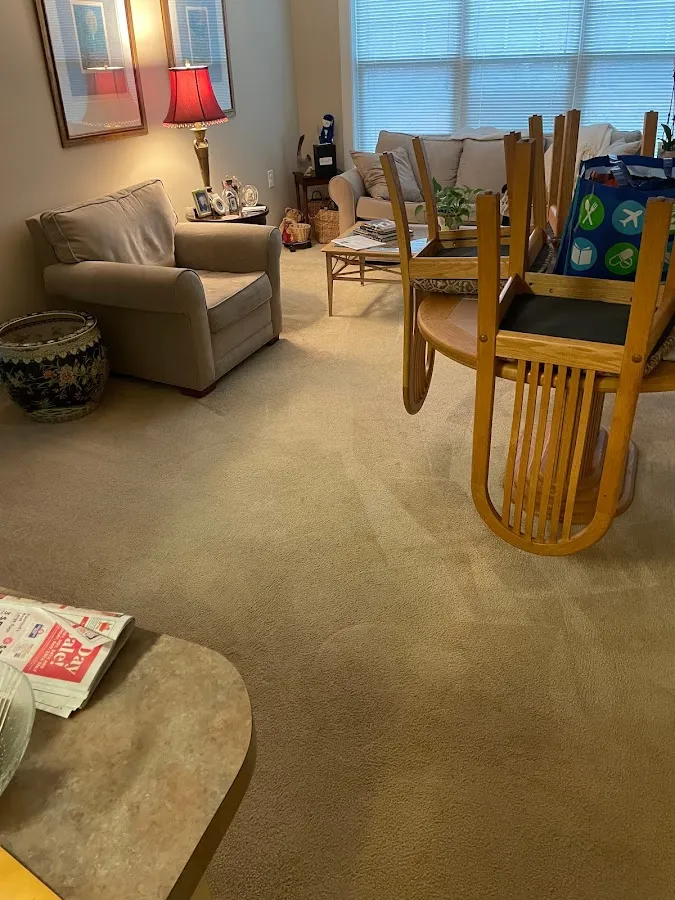 Dunamis Carpet Cleaning photo 3