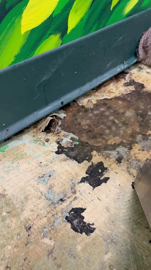 Dynamic Remediation Solutions Inc. photo 3