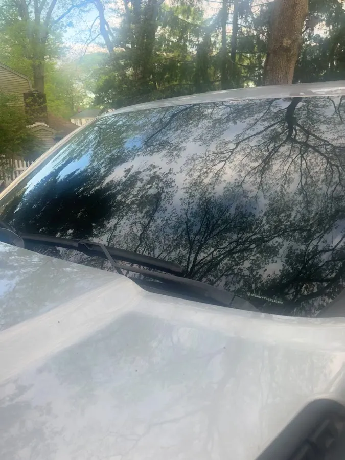 Dynamic TINT & Paint Protection Film (PPF) photo 3