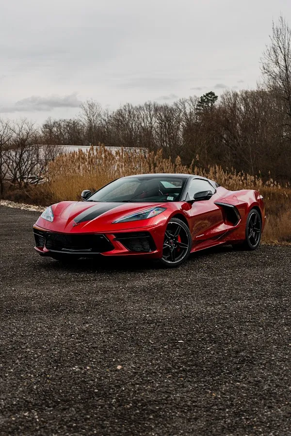 Dynamic TINT & Paint Protection Film (PPF) Marlton