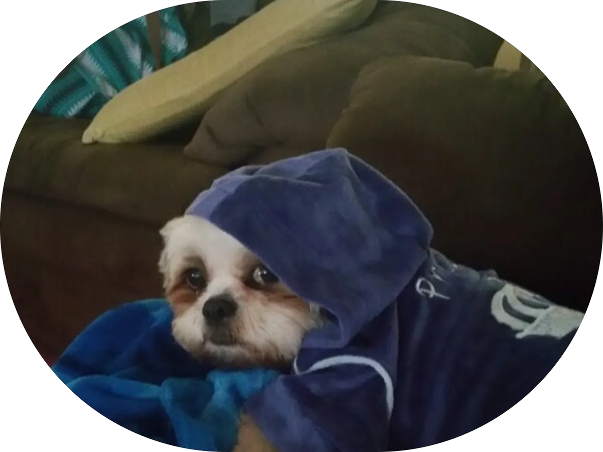 Eagles nails photo 5