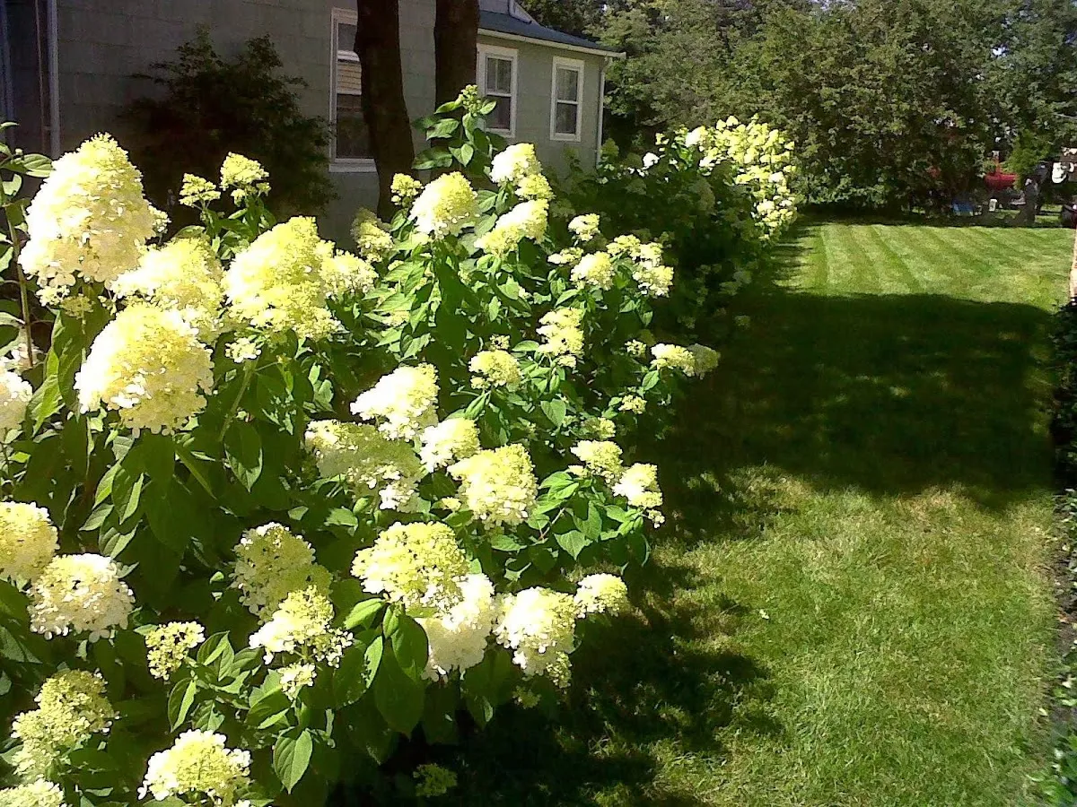 Easley Done Lawn & Paving Services photo 5