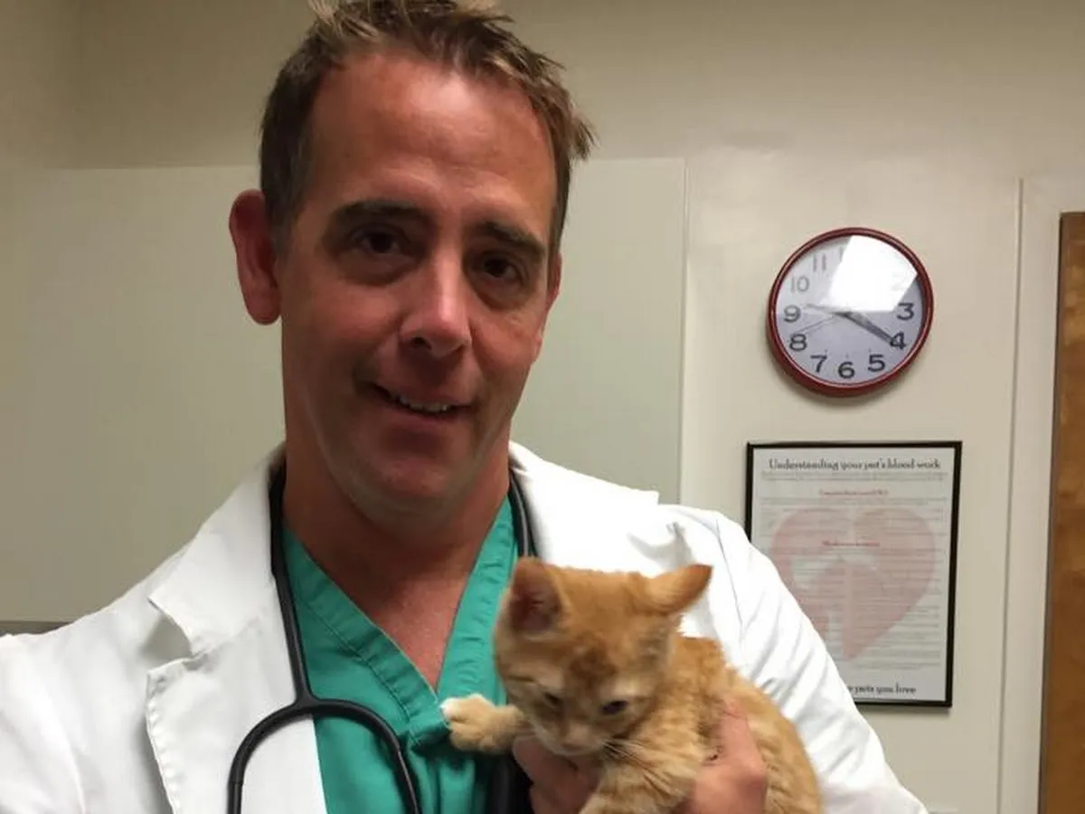 East Coast New Jersey Spay Clinic photo 5