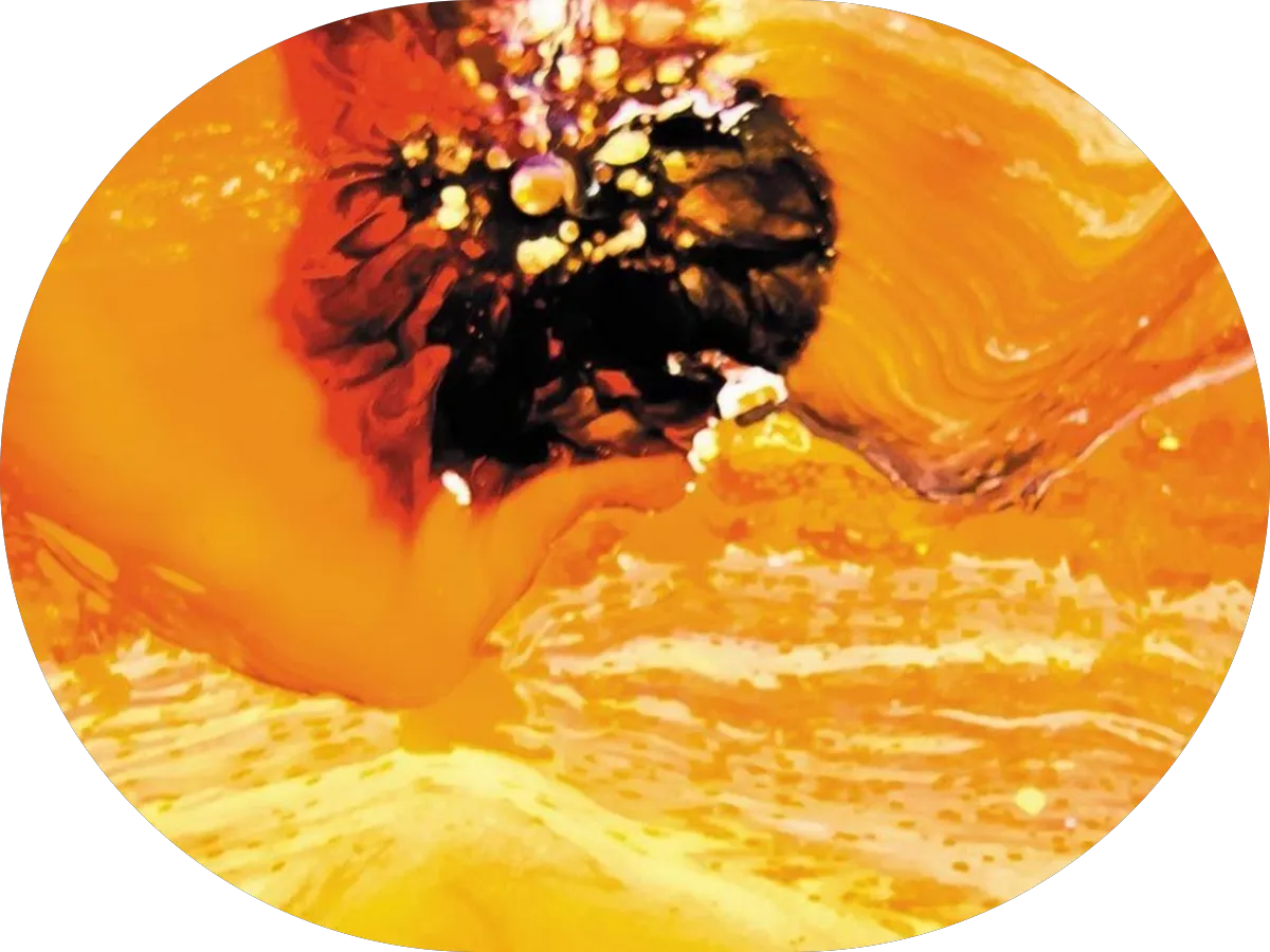 East Coast Steam LLC photo 3