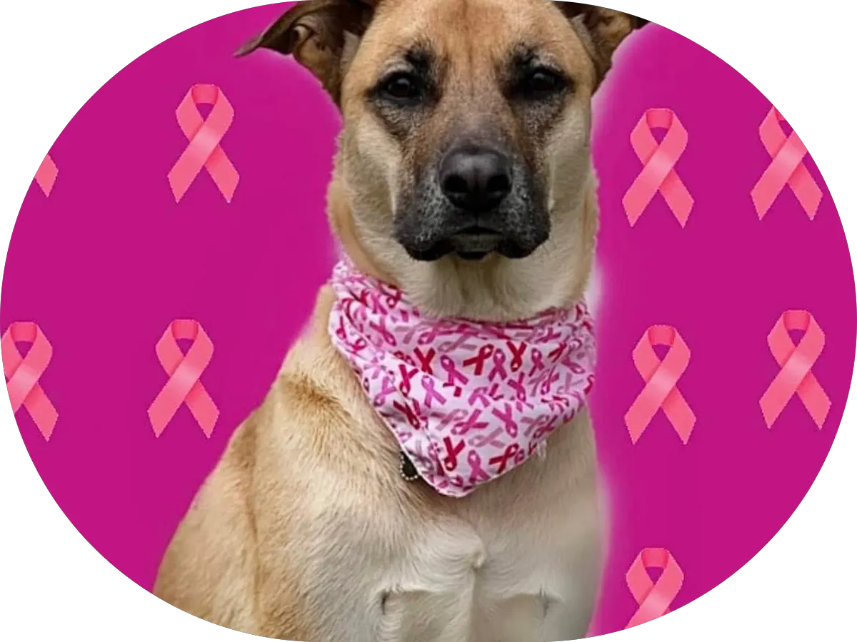 East Meets West Acupuncture