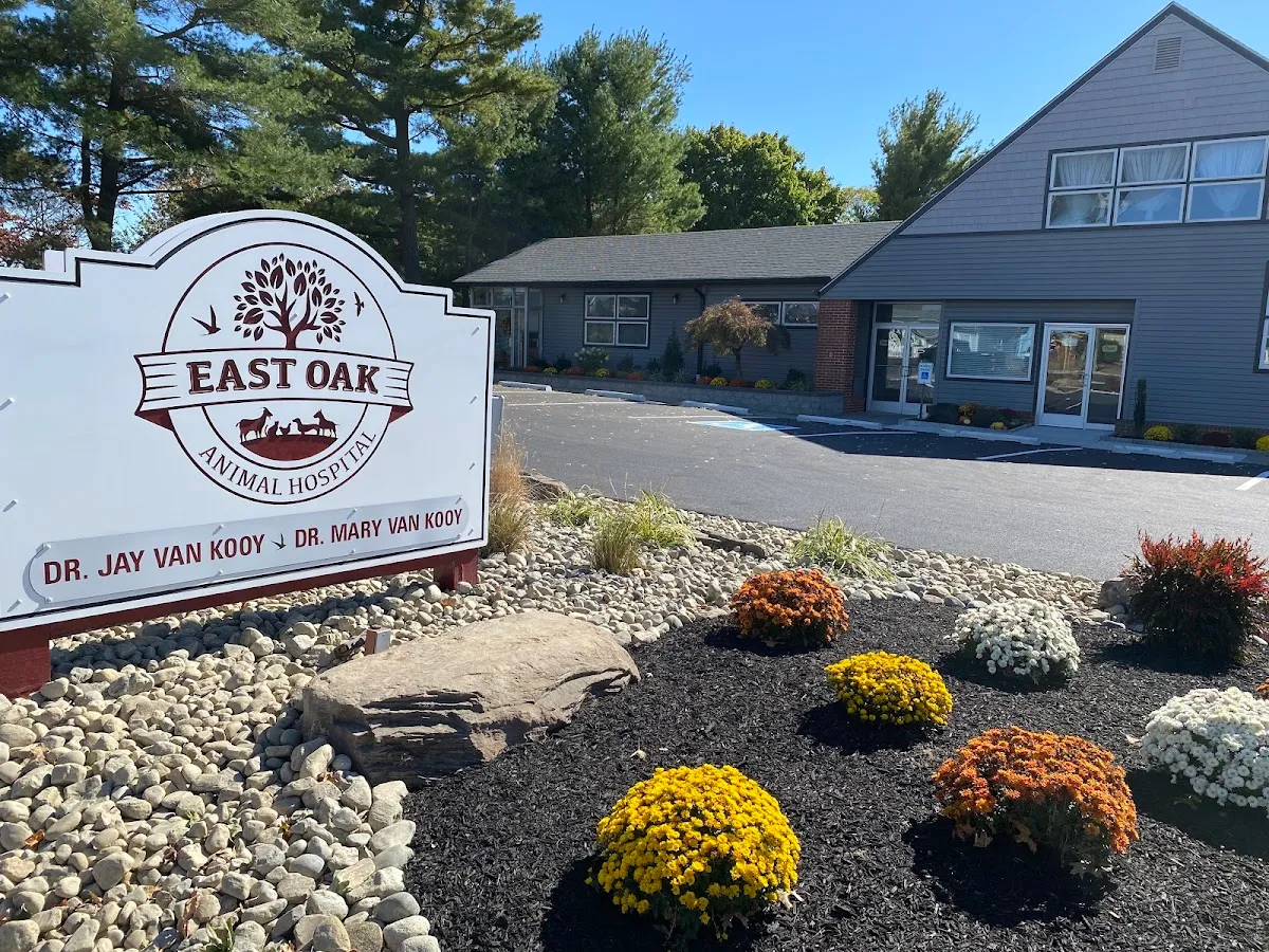 East Oak Animal Hospital