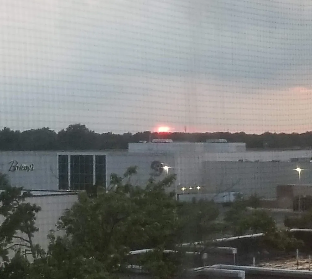 Echelon Towers photo 2