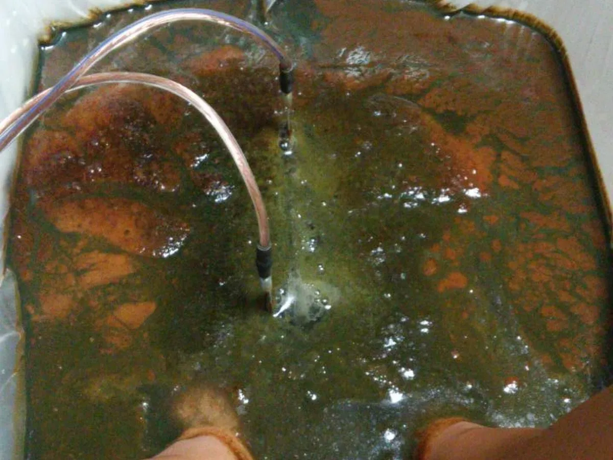 Eco Holistic Oneness photo 3