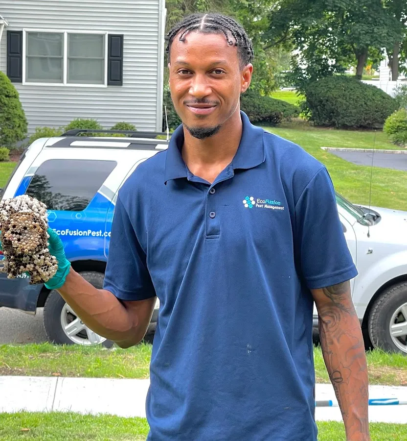 EcoFusion Pest Control photo 2