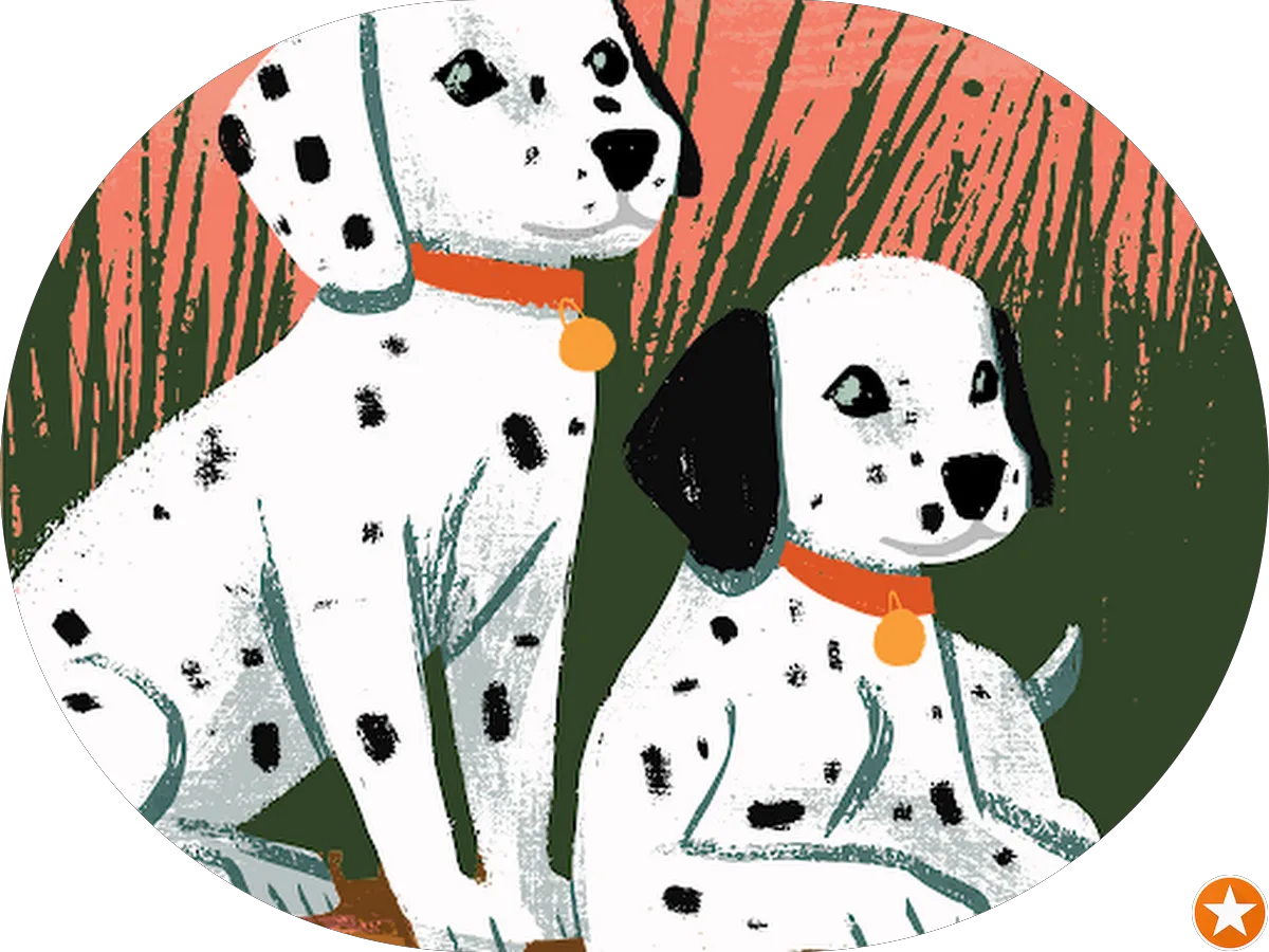 Economy Liquor photo 2