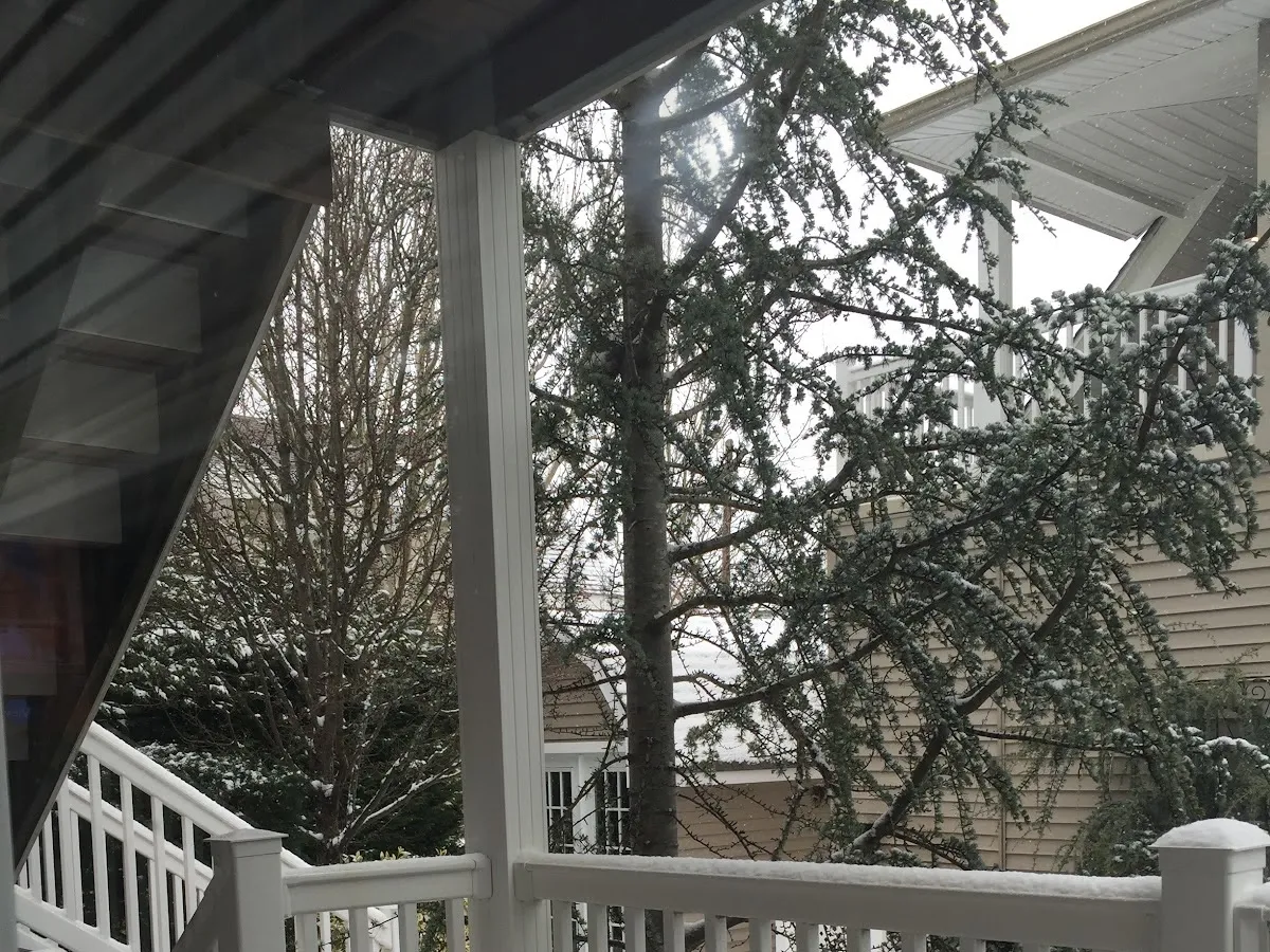 Ed Johnson Electric photo 4