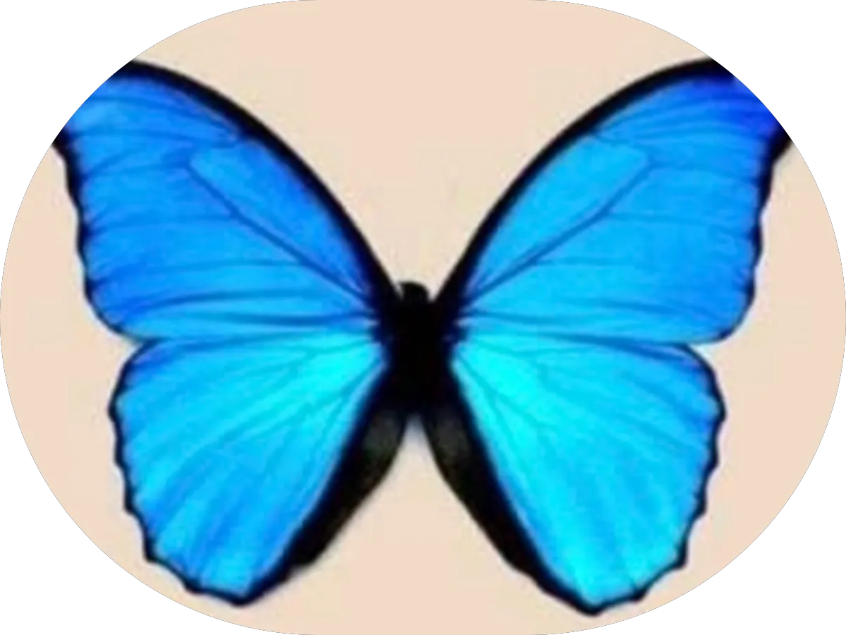 Edgewater Motors photo 5