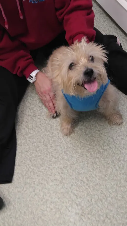 Edinburg Animal Hospital