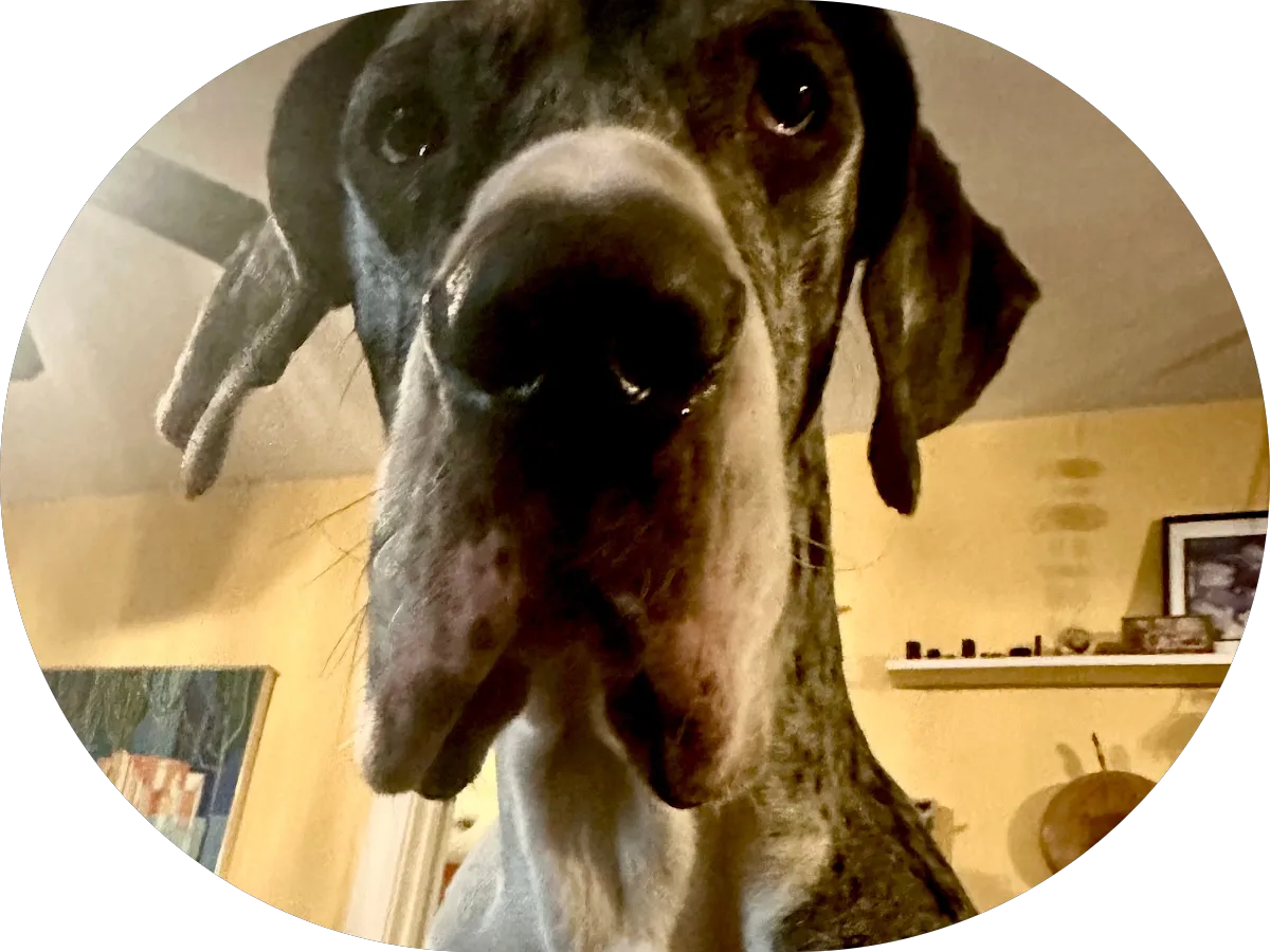 Edward Fritz Realtor Keller-Williams Realty photo 5