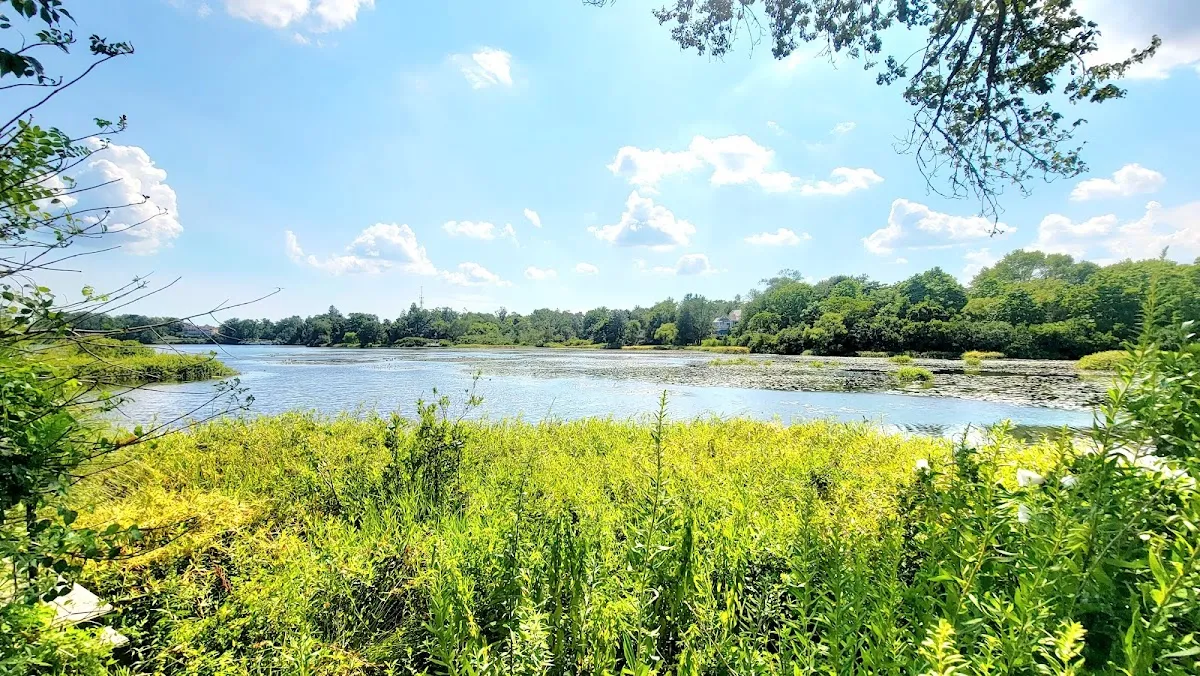 Edyta Brenner Realtor/ Sale Associat photo 2