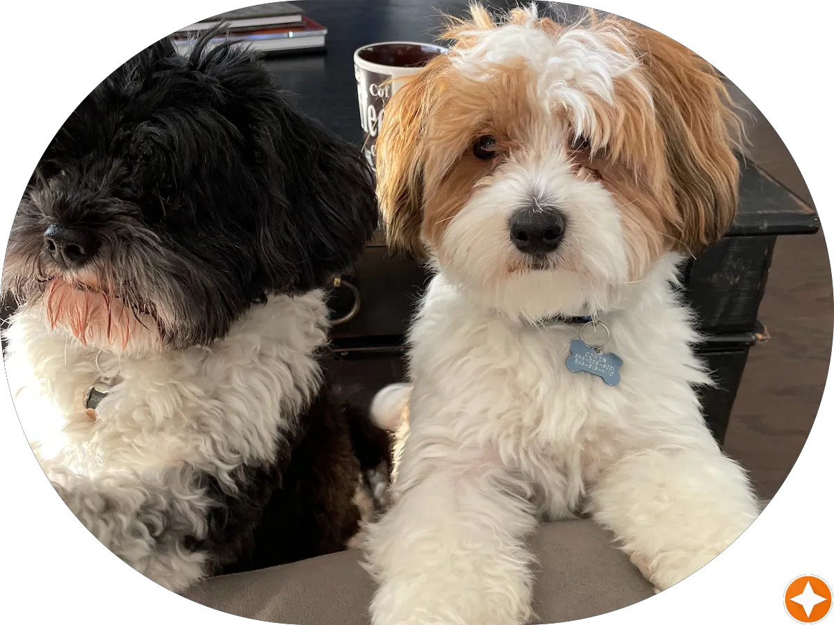 Effective Massage & Reflexology Inc photo 5