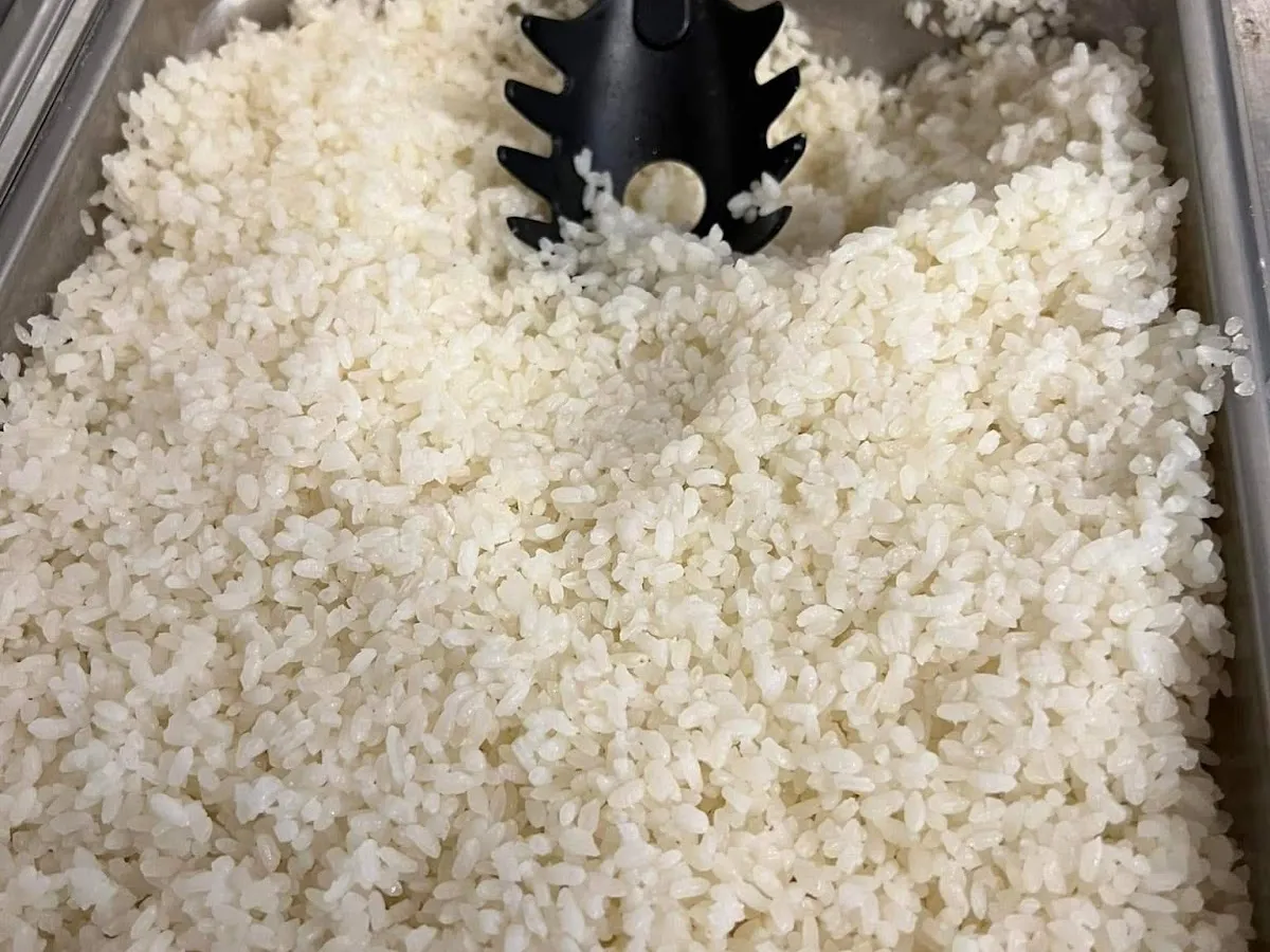 Eg's Fritulandia photo 4