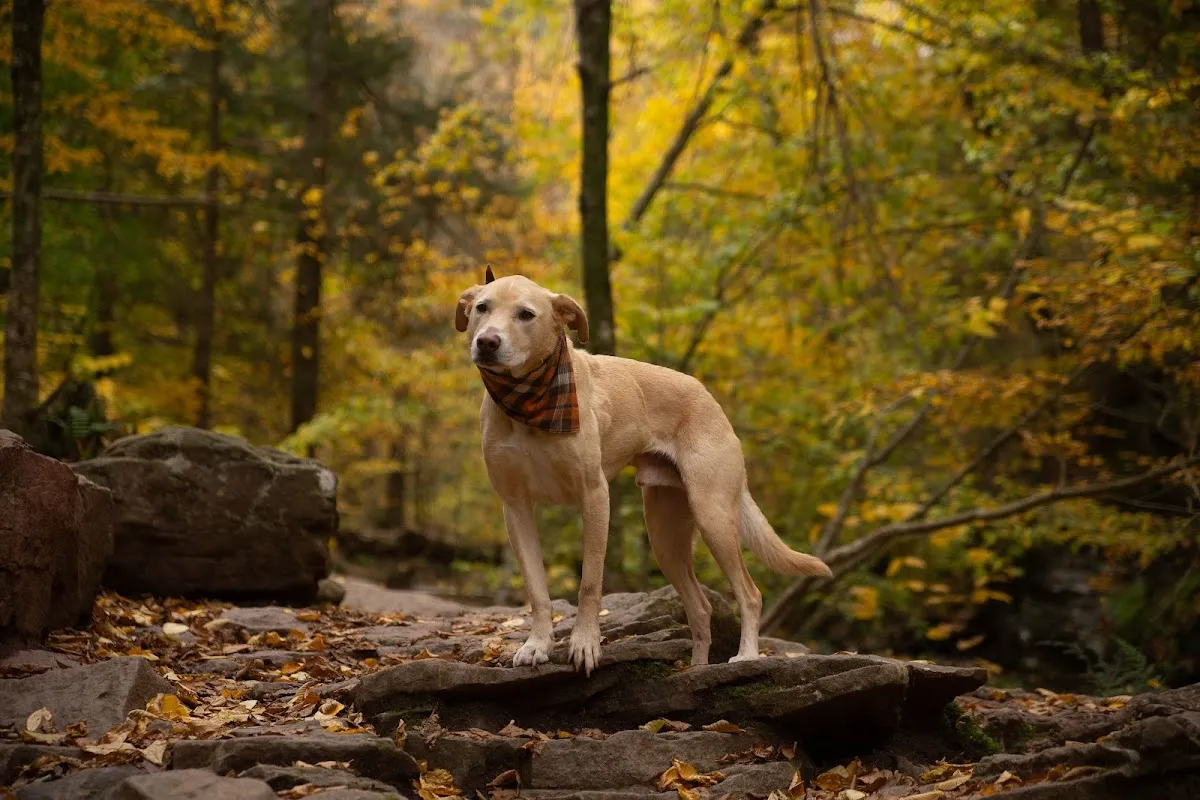 EjdW Creations photography photo 5