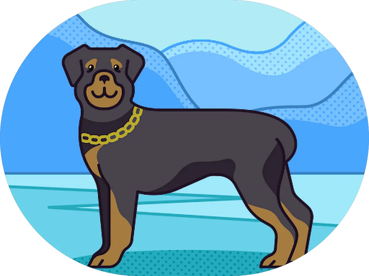 Ellas Auto Repair & Performance photo 2