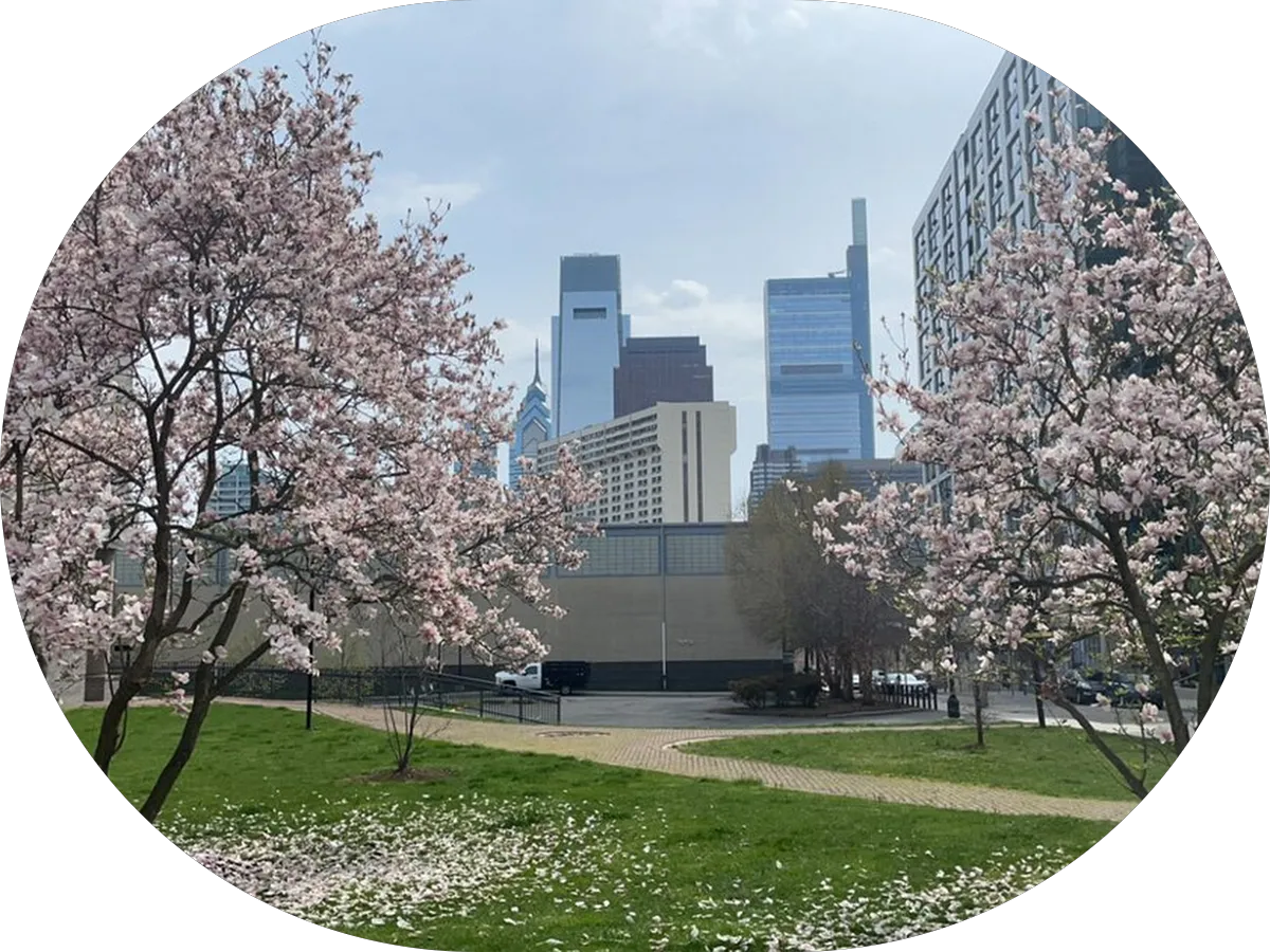 Elm Dental Associates photo 4