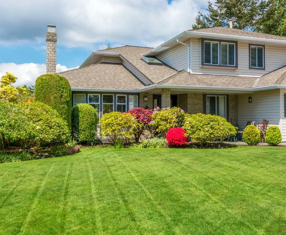 Elvis Landscaping LLC photo 2