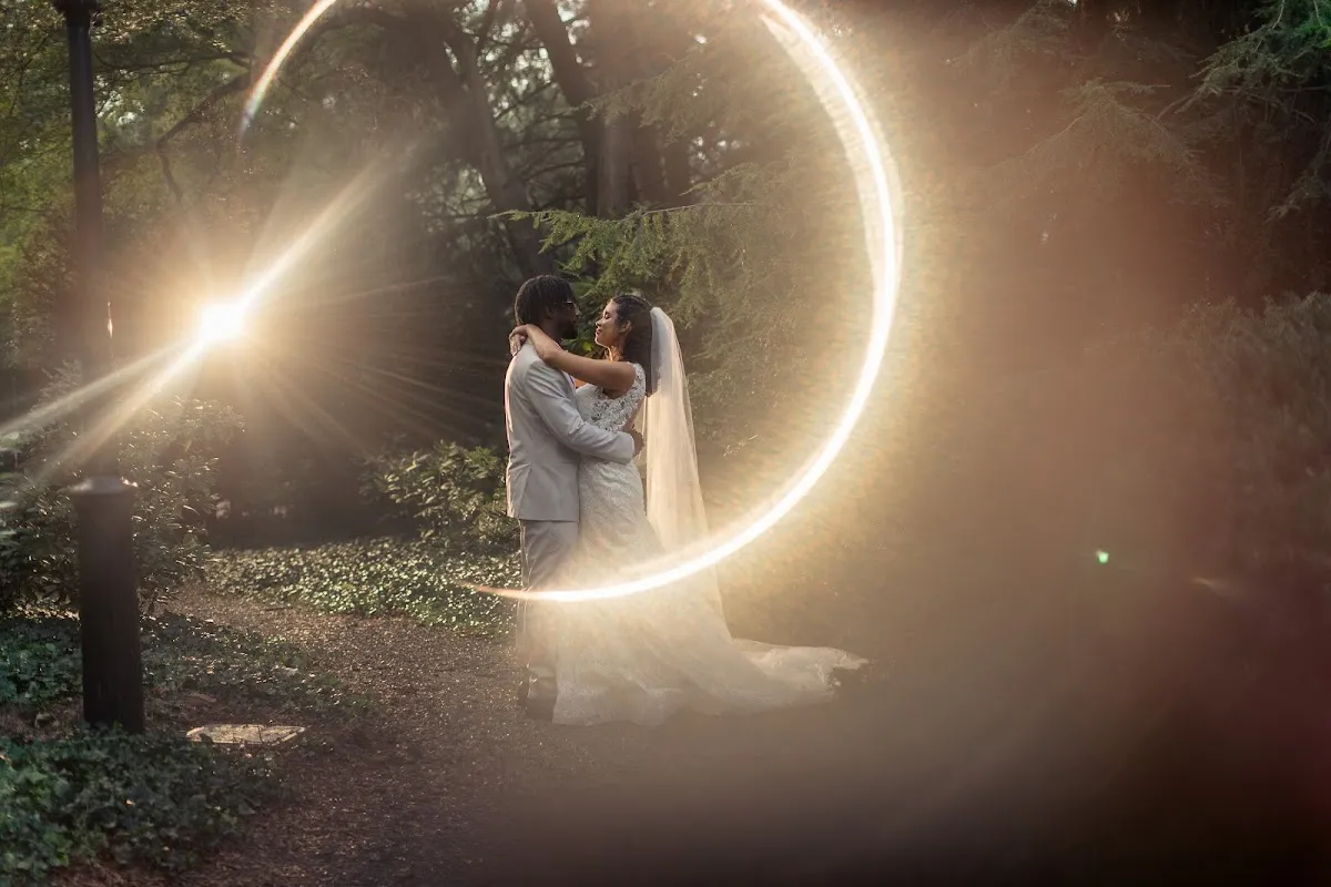 Enchanted Celebrations