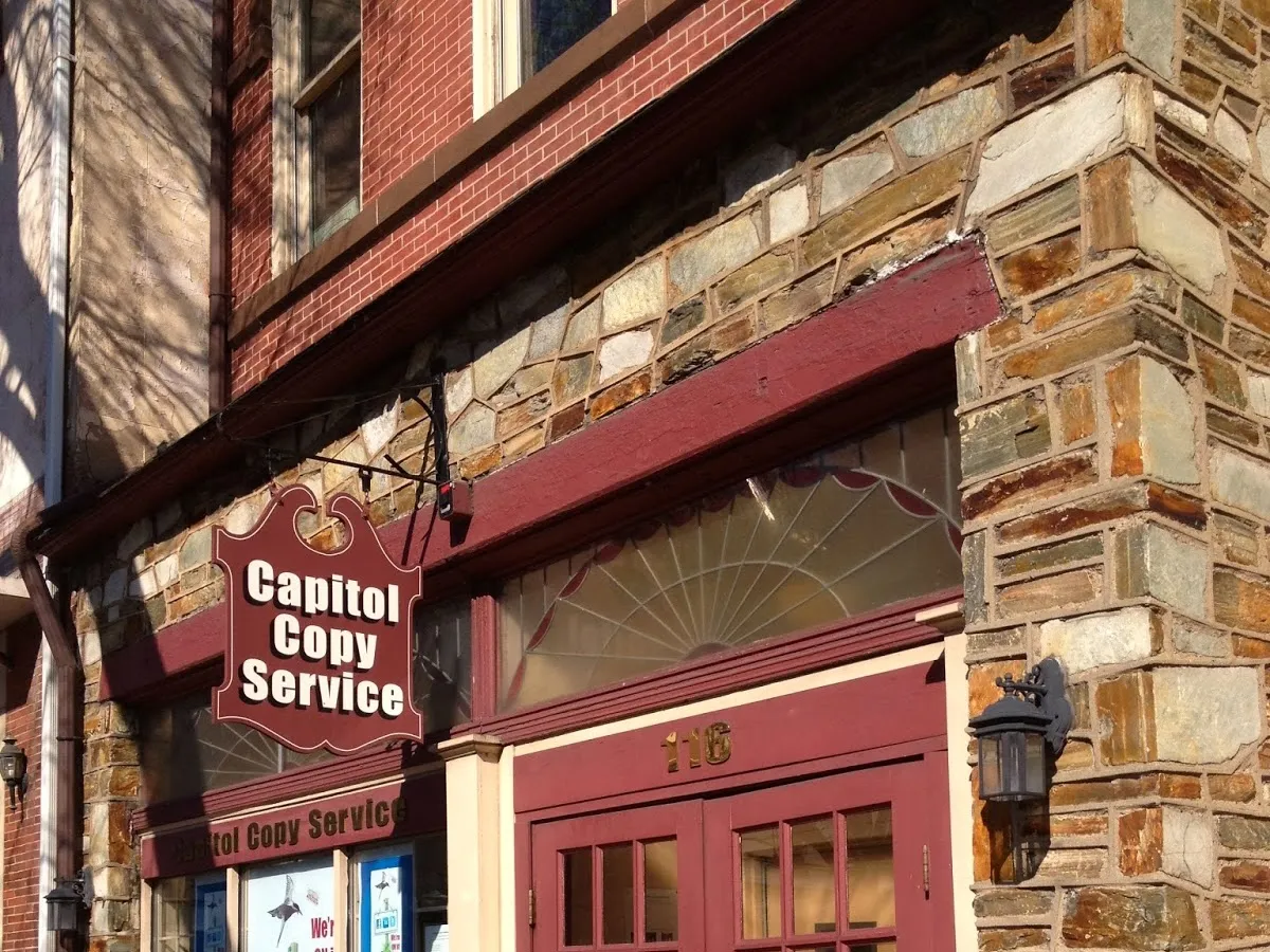 Endive print - Printing Services, Printing Shop, Printing Solutions photo 3