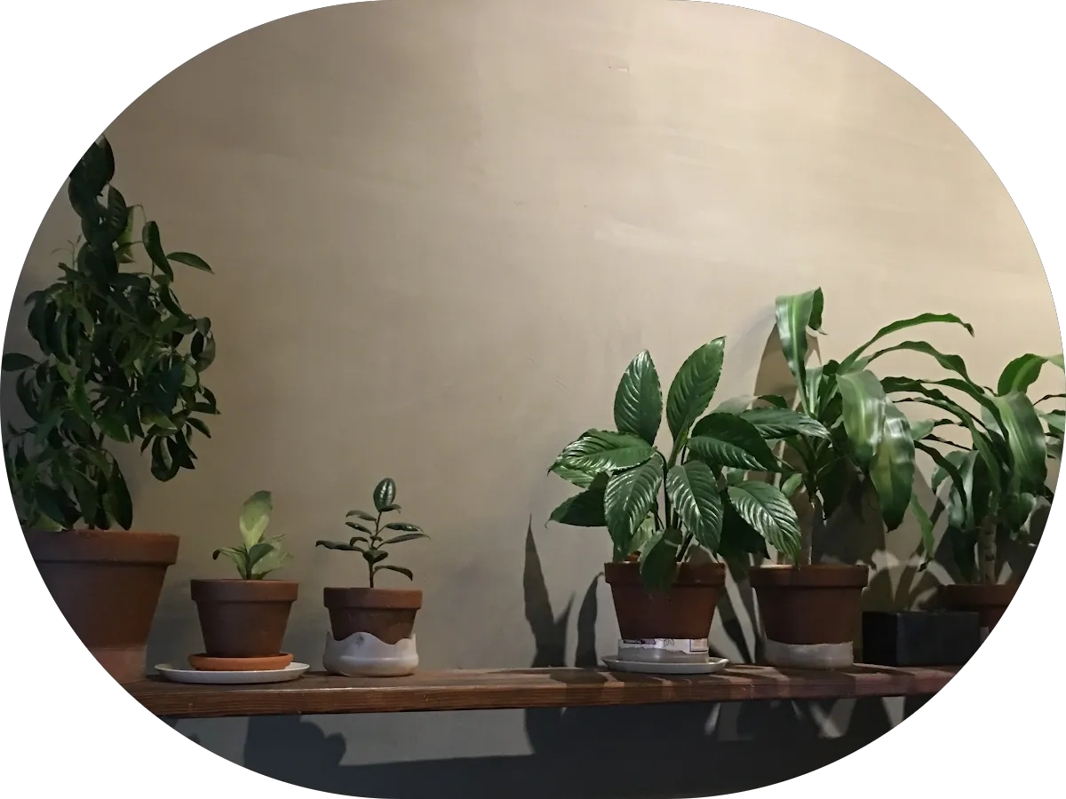 Englewood Best Auto Body photo 4