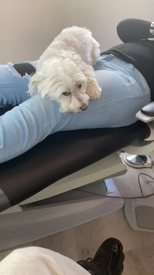 Englewood Dental Studio photo 3