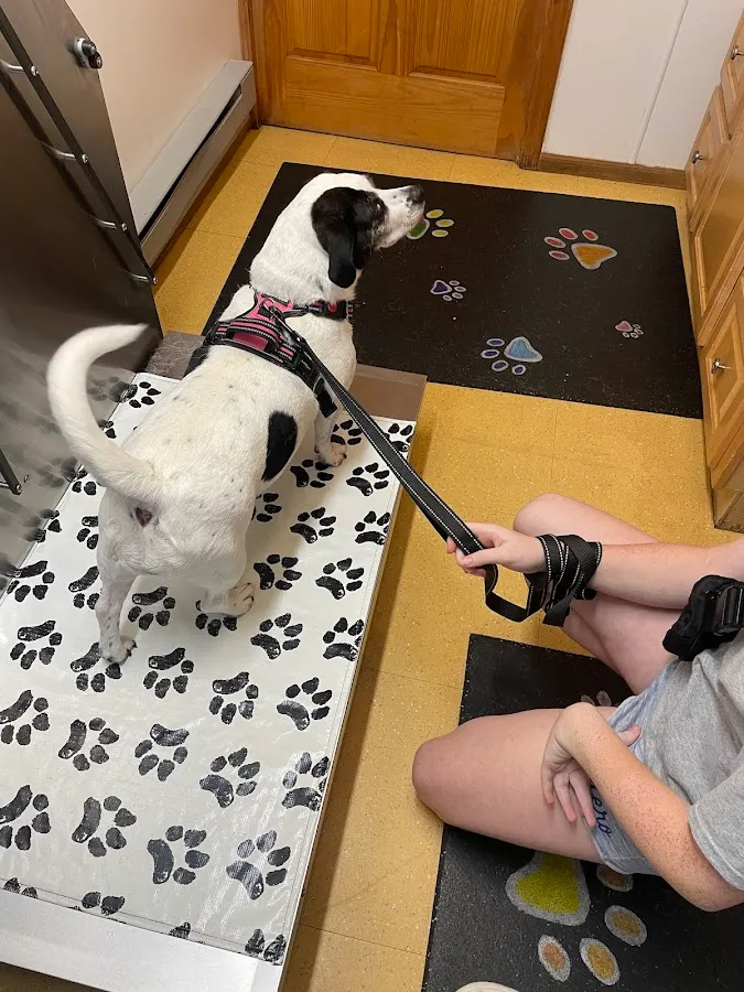 English Creek Veterinary Clinic