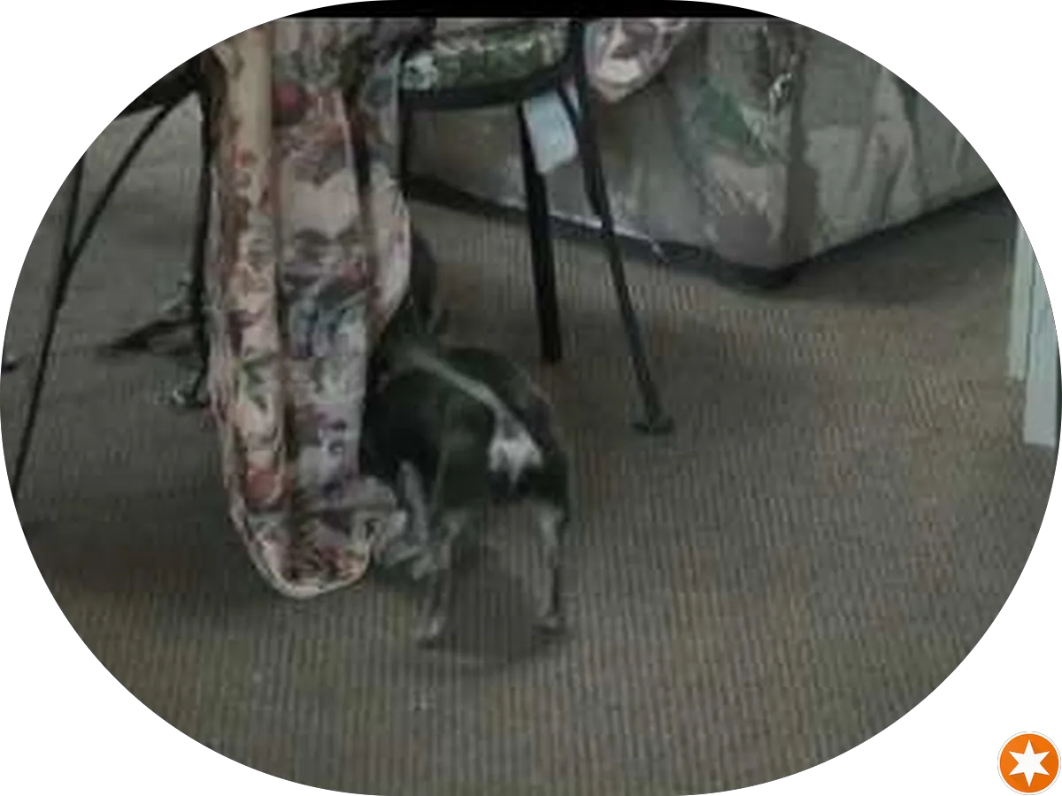 Enterprise Insurance Agency photo 2