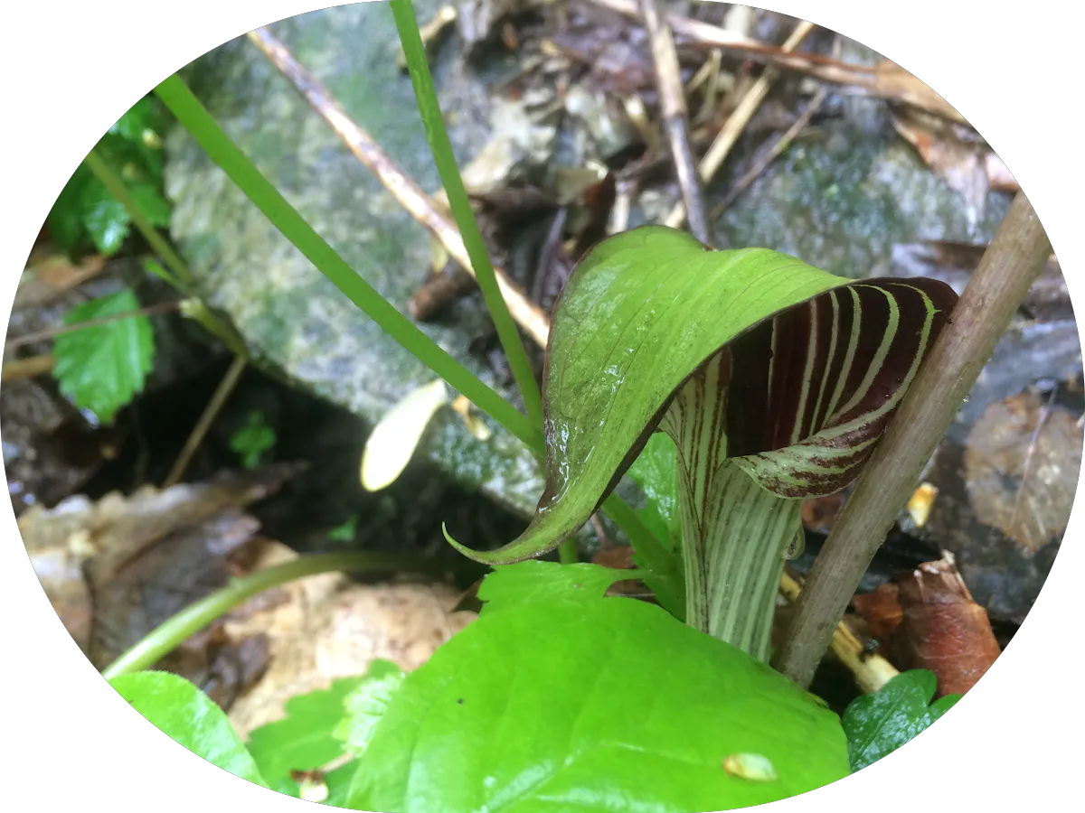 Equipment Resource Corporation photo 4