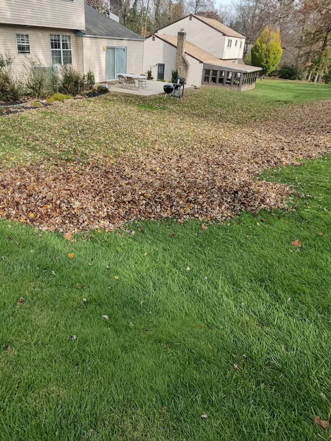 Espinoza's Family Landscaping photo 2