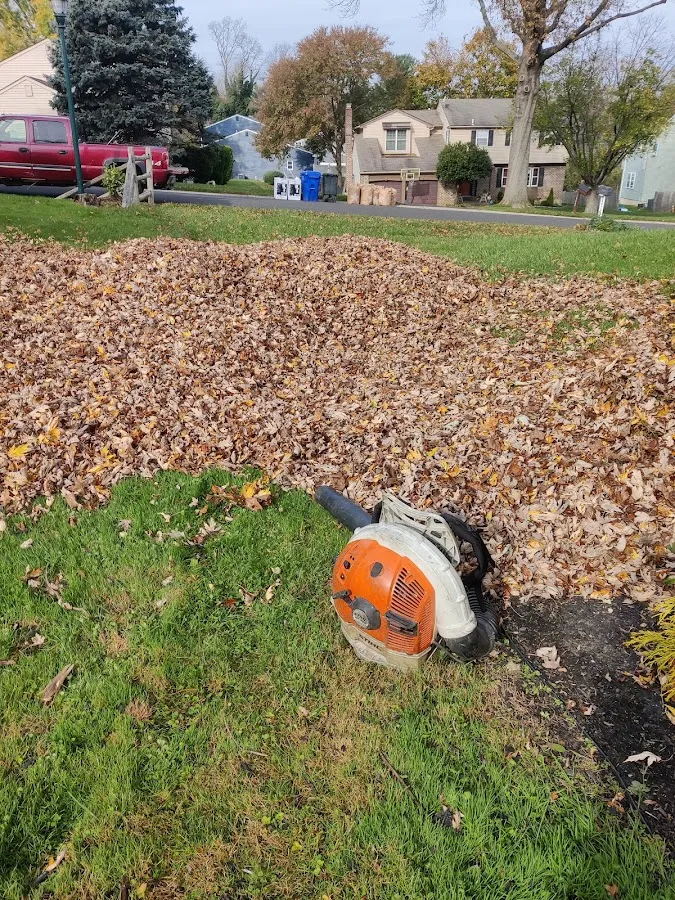 Espinoza's Family Landscaping photo 3