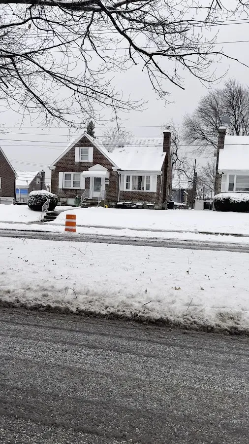 Espinoza's Family Landscaping photo 4