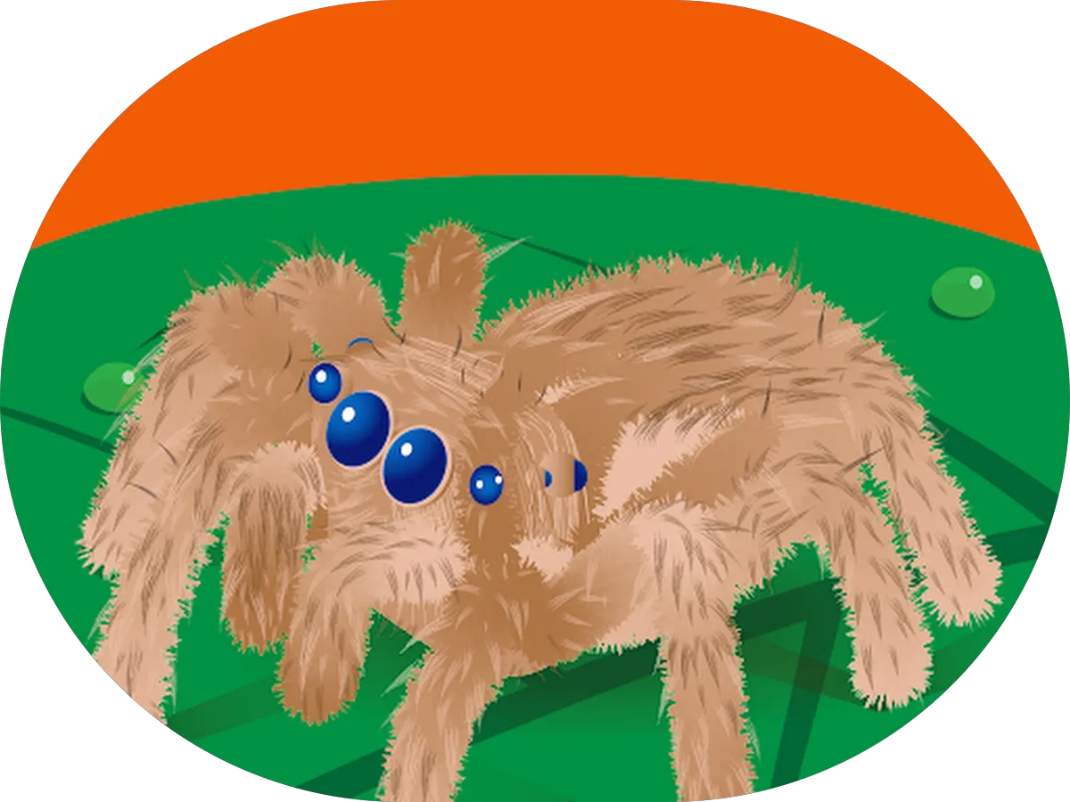 Evesham Eye Associates photo 3