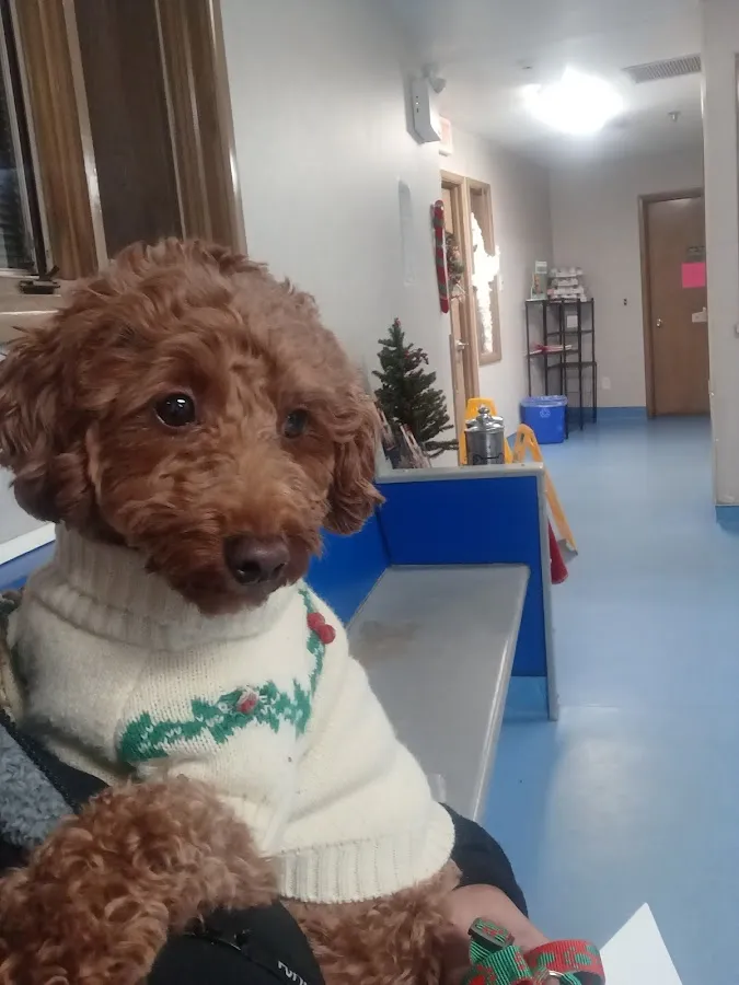 Evesham Veterinary Clinic photo 2