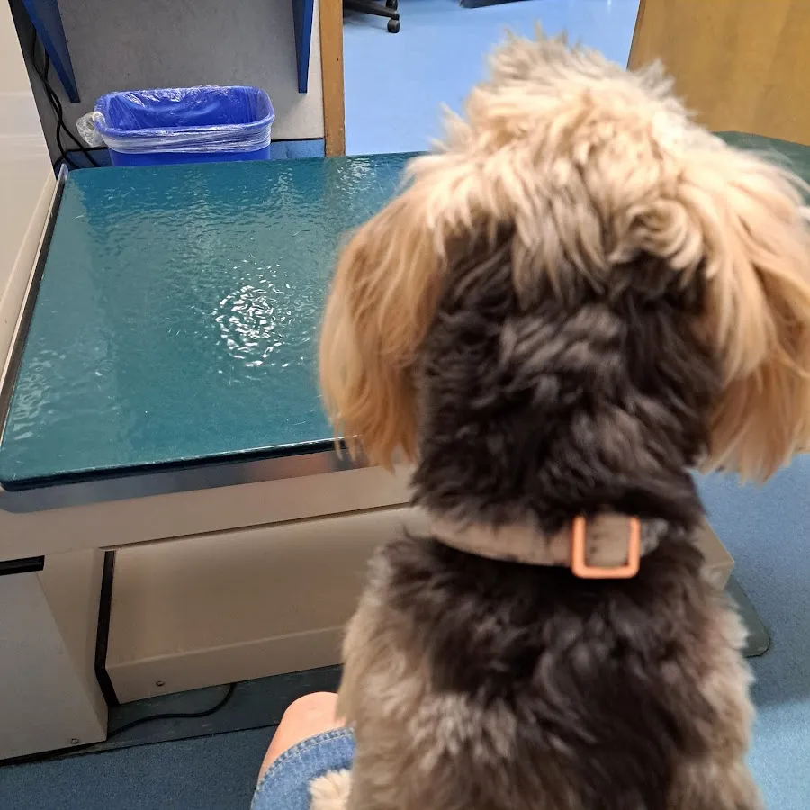 Evesham Veterinary Clinic photo 4