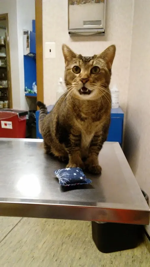 Evesham Veterinary Clinic photo 5