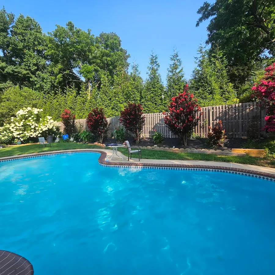 Evo Pool Service photo 2