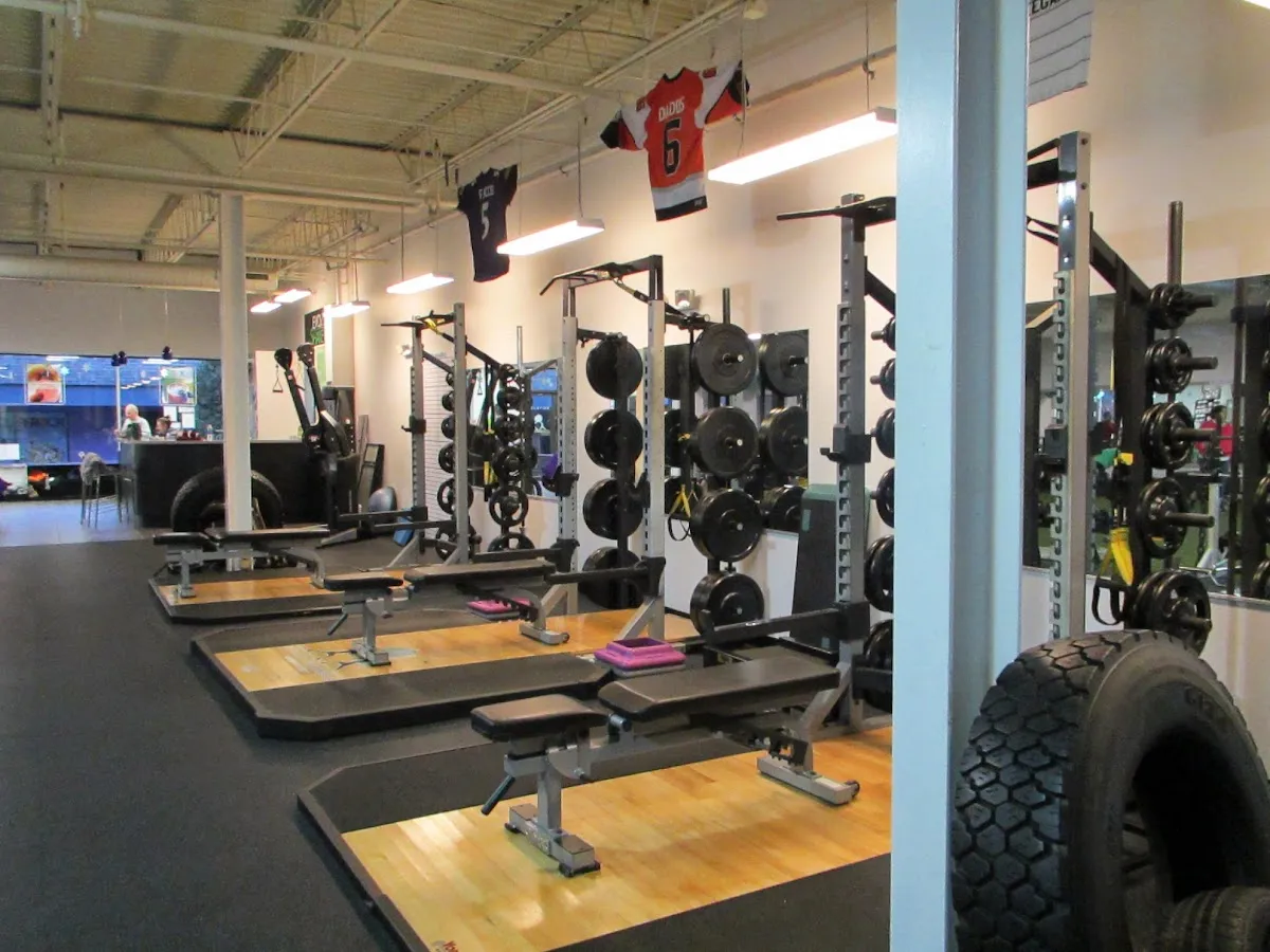 Evolution Fitness Now