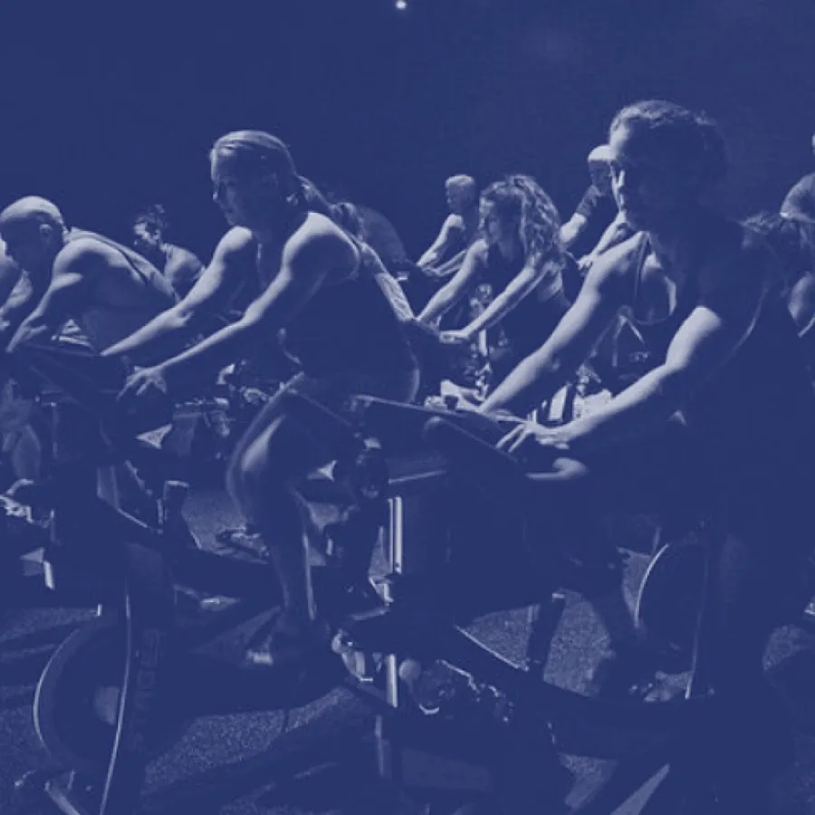 Evolve Cycle and Fitness