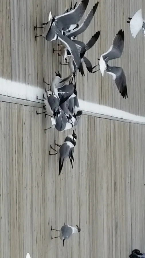 Exit 4 Private Escape Rooms photo 3