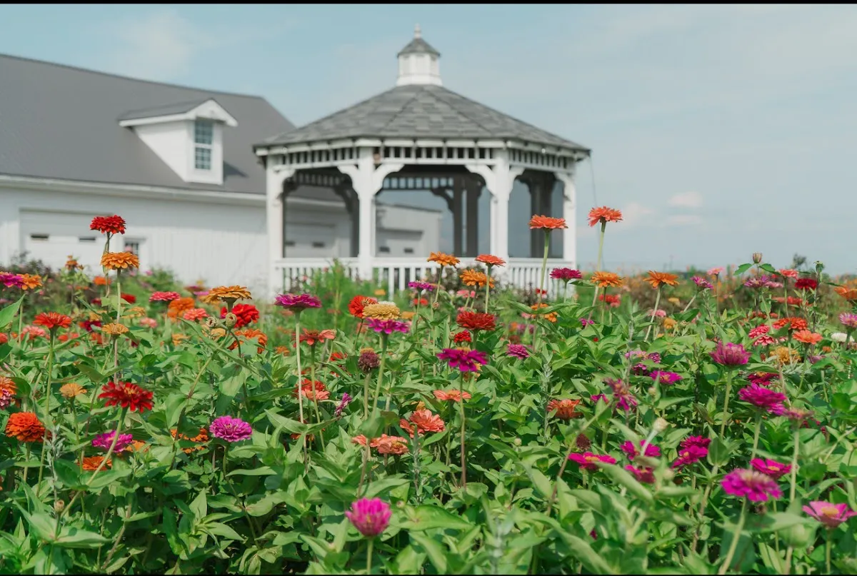 Fabulous Flower Farm photo 3