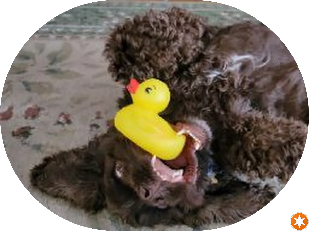 Fairmount Park photo 5