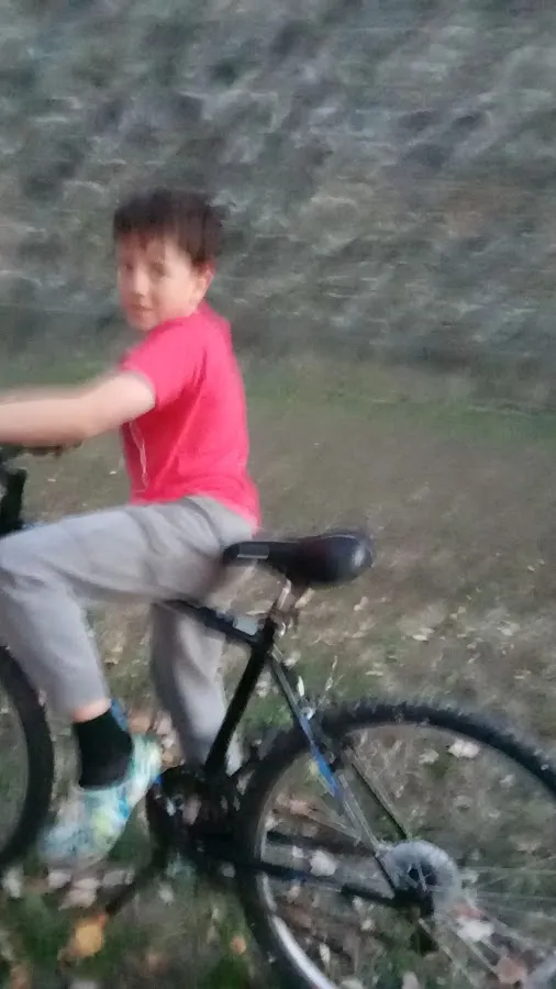 Fairmount Pet Shoppe photo 4