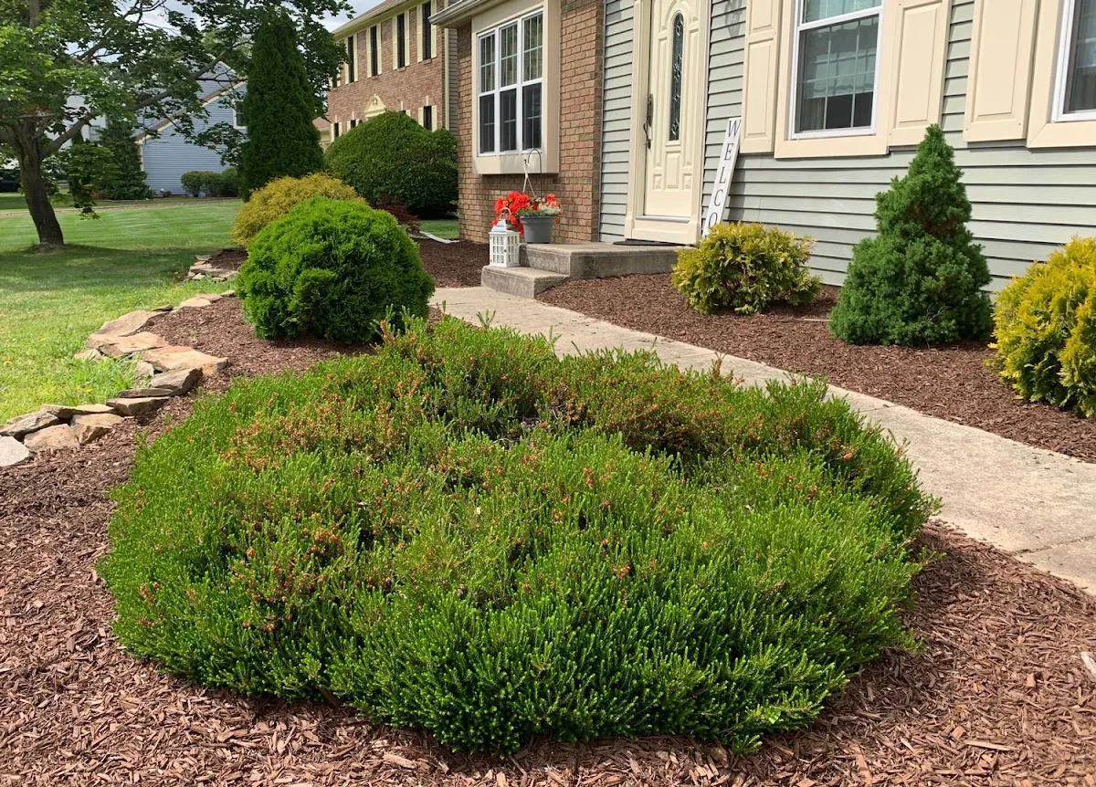 Fairway Lawn & Landscaping, LLC