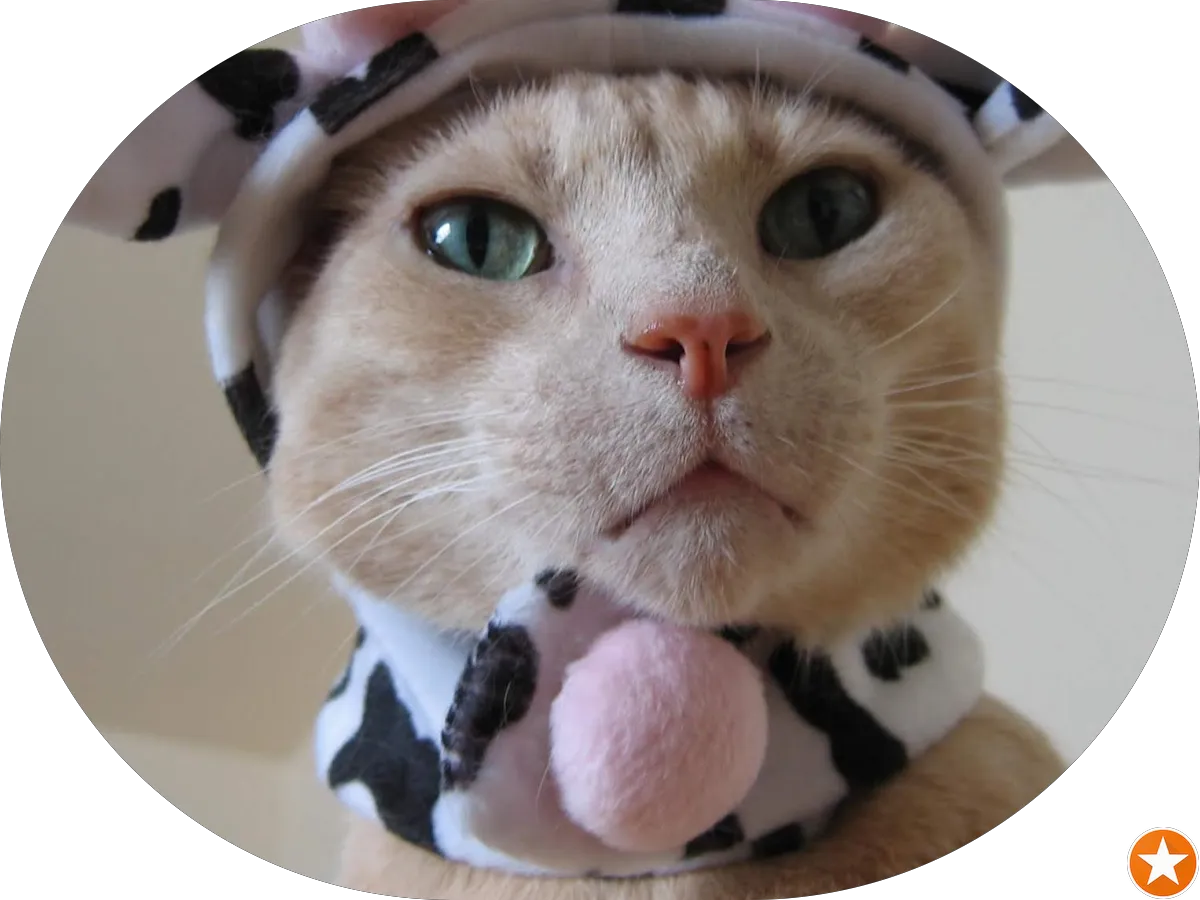 Faithful Motor Works