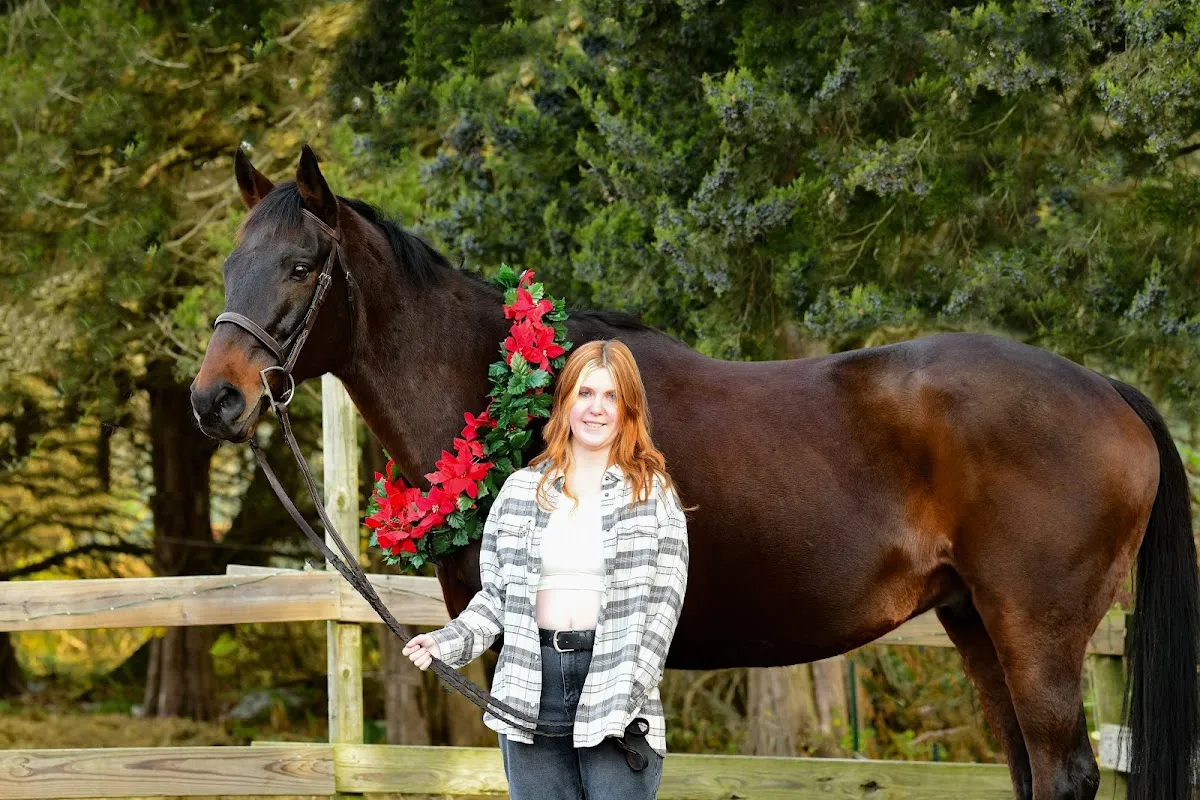 Falciani Photography LLC